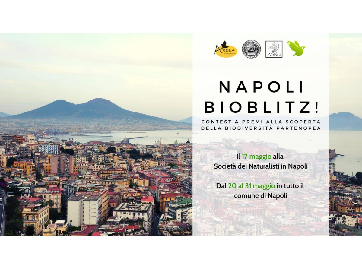 Napoli Bioblitz!