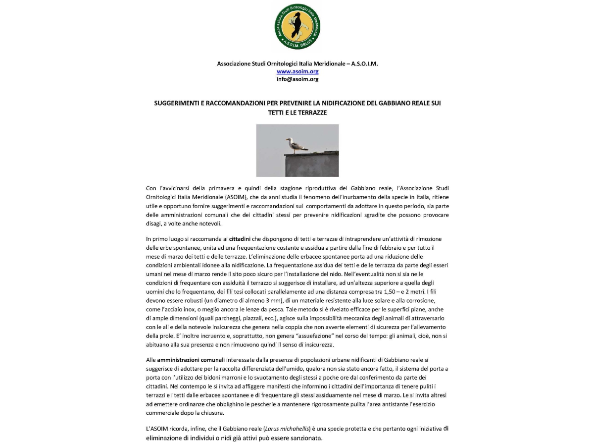 suggerimenti e raccomandazioni per prevenire la nidificazione del gabbiano reale sui tetti e le terrazze