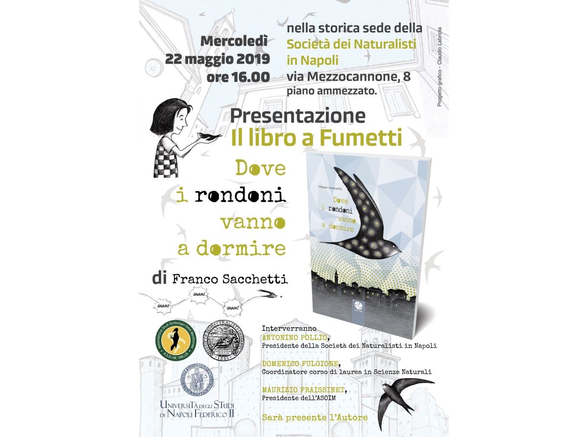 Dove i rondoni vanno a dormire