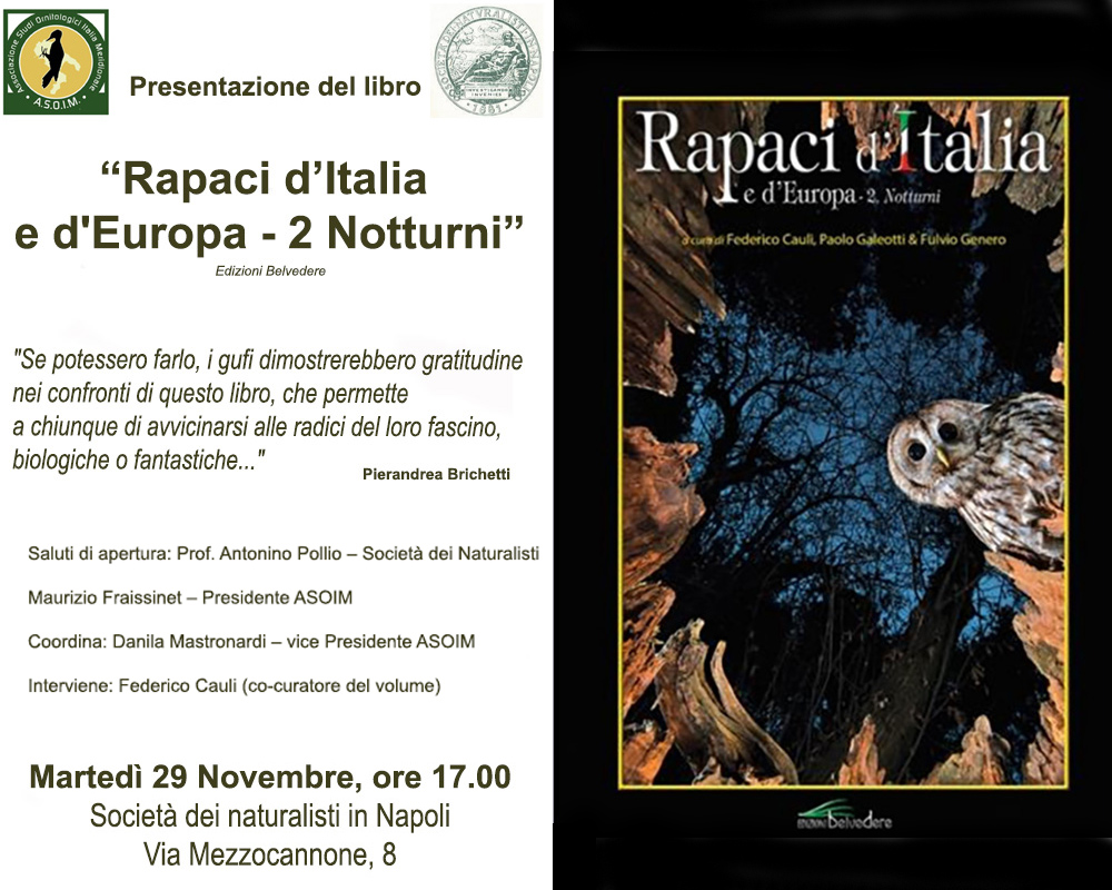 locandina libro rapaci edit 1