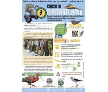 V Corso di Birdwatching organizzato dall’Associazione Studi Ornitologici Italia Meridionale (ASOIM) Onlus
