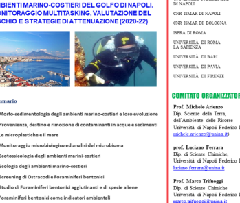 Ambienti marino-costieri del Golfo di Napoli. Monitoraggio multitasking, valutazione del rischio e strategie di attenuazione (2020-22)