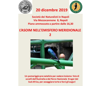 L’ASOIM NELL’EMISFERO MERIDIONALE 