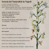  Presentazione libro: I disegni inediti di Domenico Cirillo
