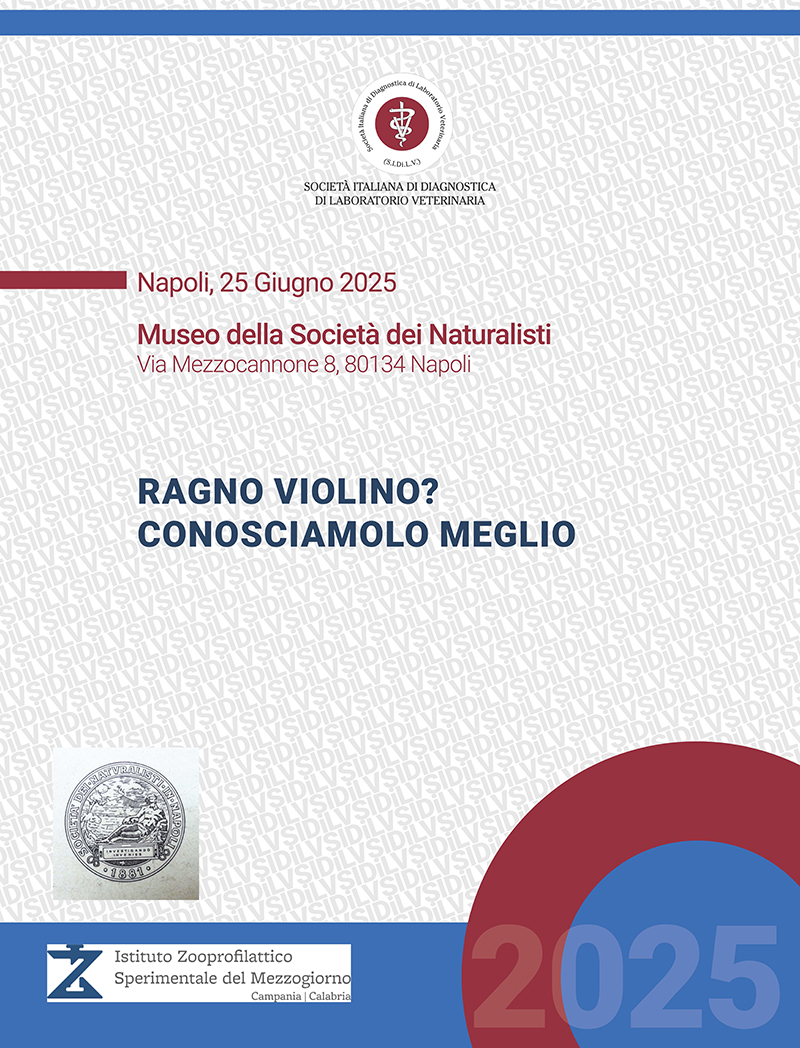 Ragno violino: conosciamolo meglio
