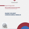 Ragno violino: conosciamolo meglio