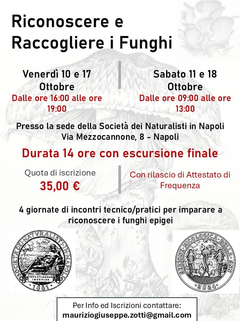 Riconoscere e Raccogliere i Funghi