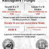Riconoscere e Raccogliere i Funghi