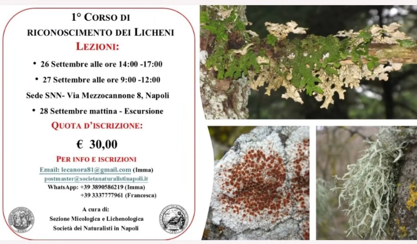 1° Corso di riconoscimento dei licheni