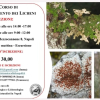 1° Corso di riconoscimento dei licheni